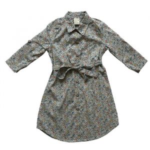 Print Mid Waist Band Long Sleeve Dress